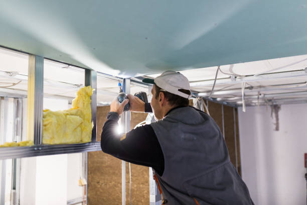 Professional Insulation Contractor in MD